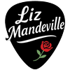 Liz Mandeville — Genre-Fluid Artist from Chicago